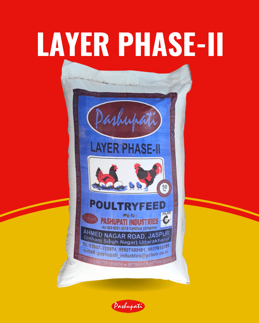 Layer Phase-1